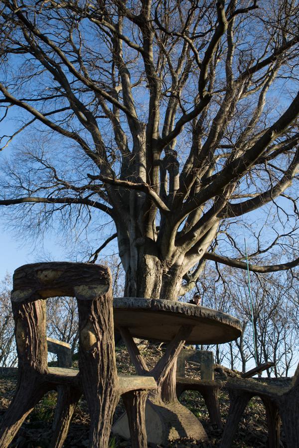 Al Bagolaro Bed & Breakfast Crocetta del Montello ภายนอก รูปภาพ