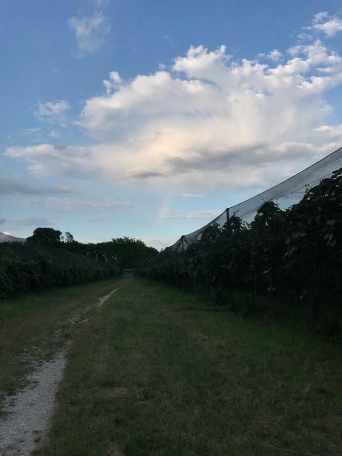 Al Bagolaro Bed & Breakfast Crocetta del Montello ภายนอก รูปภาพ